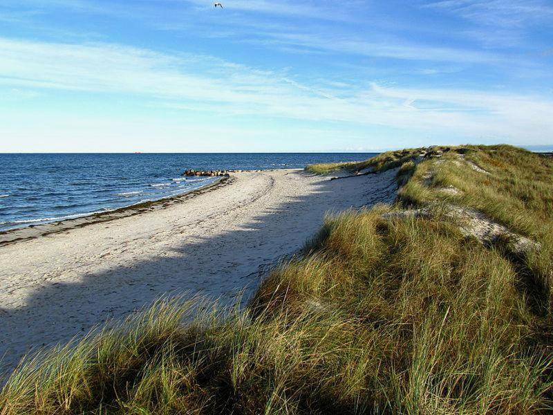 Stylische Ferienwohnung Top Lage Am Hafen, Strand Und Meer Wendtorf Eksteriør bilde